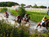 Seejagdrennen auf der Bad Harzburger Rennbahn  "Seejagdrennen auf der Bad Harzburger Galopp-Rennbahn am 26. Juli 2015. Sieger wurde der 7-jährige Wallach Kazzio mit Jockey Cevin Chan im Sattel (2.v.l.)."